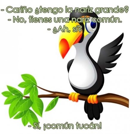 Chistes cortos - NARIZ GRANDE