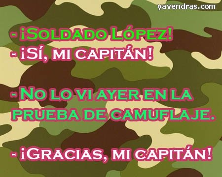 Chistes cortos - Prueba de camuflaje