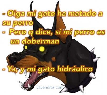Chistes graciosos - OIGA MI GATO HA MATADO...