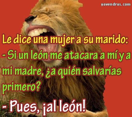 Chistes cortos - LE DICE UNA MUJER A SU...