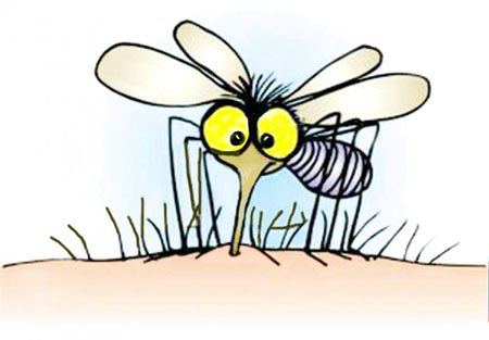 ZOONOSIS